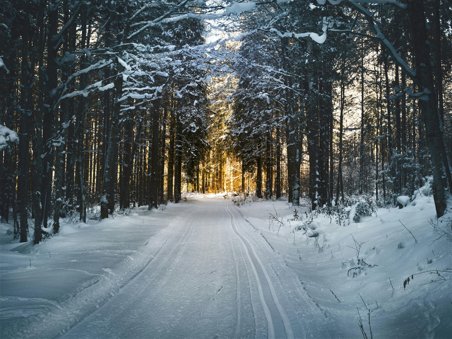 Winter Products
